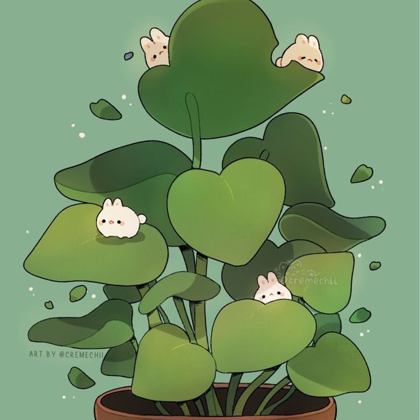 Chii🌻 tweet media