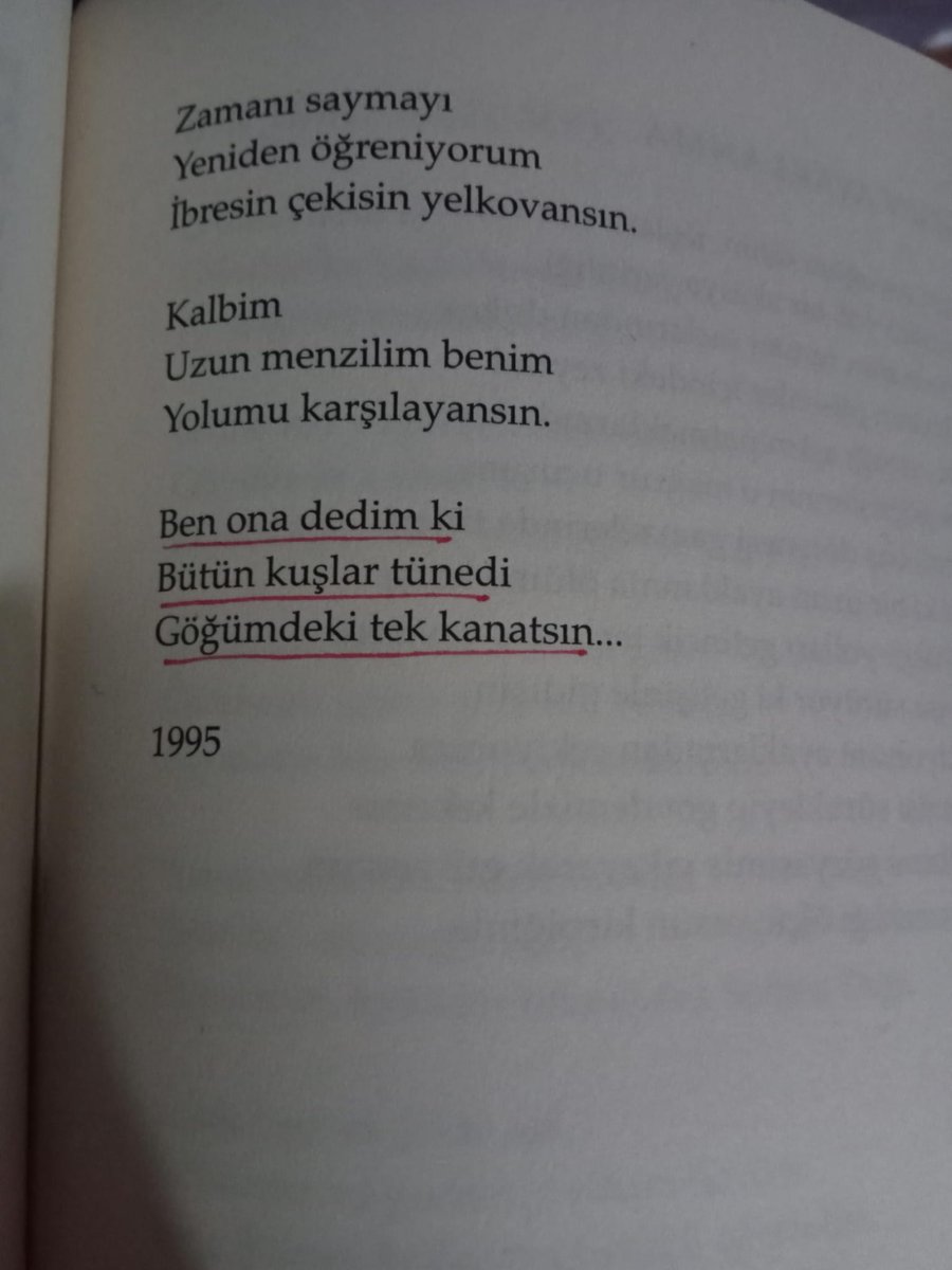 Siyadarê (@sidarsalda) on Twitter photo 