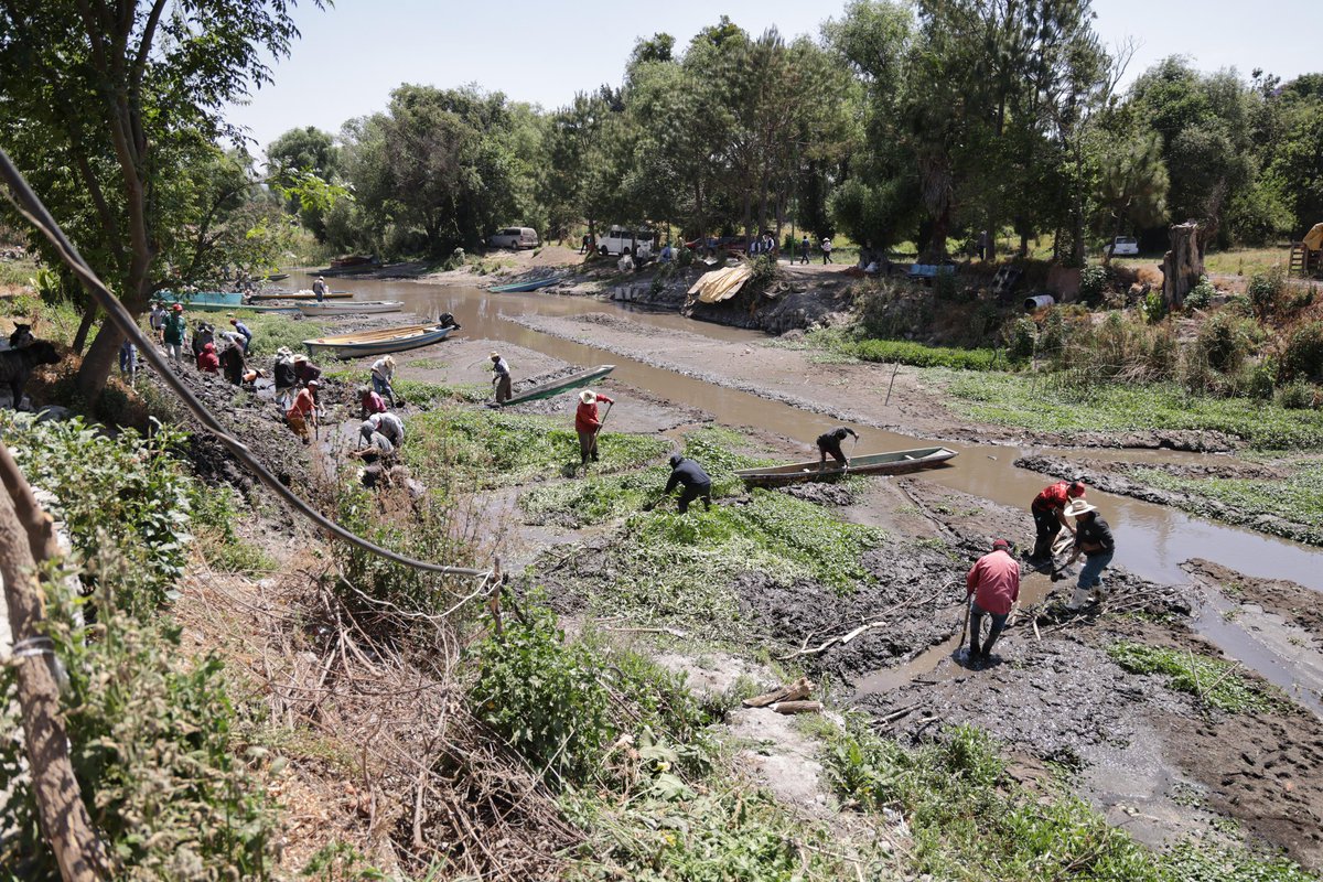 ARBedolla's tweet photo. Visitamos los muelles de San Pedrito y Uranden, donde se encuentran manantiales en la ribera del Lago de Pátzcuaro, en compañía de Alejandro Méndez, secretario de Medio Ambiente; Cuauhtémoc Ramírez, secretario de Desarrollo Rural; Roberto Arias, Coordinador General de la Comisión Estatal del Agua y Gestión de Cuencas; y miembros de la comunidad, que ya realizan tareas de limpieza en la zona de los canales, una de las acciones que hemos puesto en marcha para recuperar la grandeza del lago.