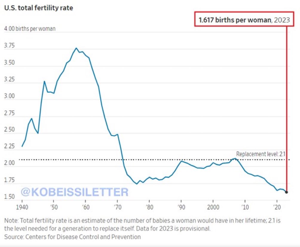 The US fertility rate has declined to its lowest recorded level—well below replacement level. As society ages, this will be one of the big challenges we face—and instead of addressing it now, we have to spend our time dealing with folks who deny elections. Sowing our own demise.