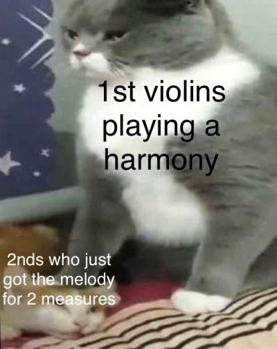 #orchestrahumour #memes #bandmemes #musicmemes #orchestramemes #twosetviolin #musicmemesdaily #viola #violin #bass #piano #cello #cellomemes #pianomemes #violamemes #violinmemes #brass #woodwind #strings #guitar #guitarmemes #trumpet #flute #jazzmemes #orchestra #music