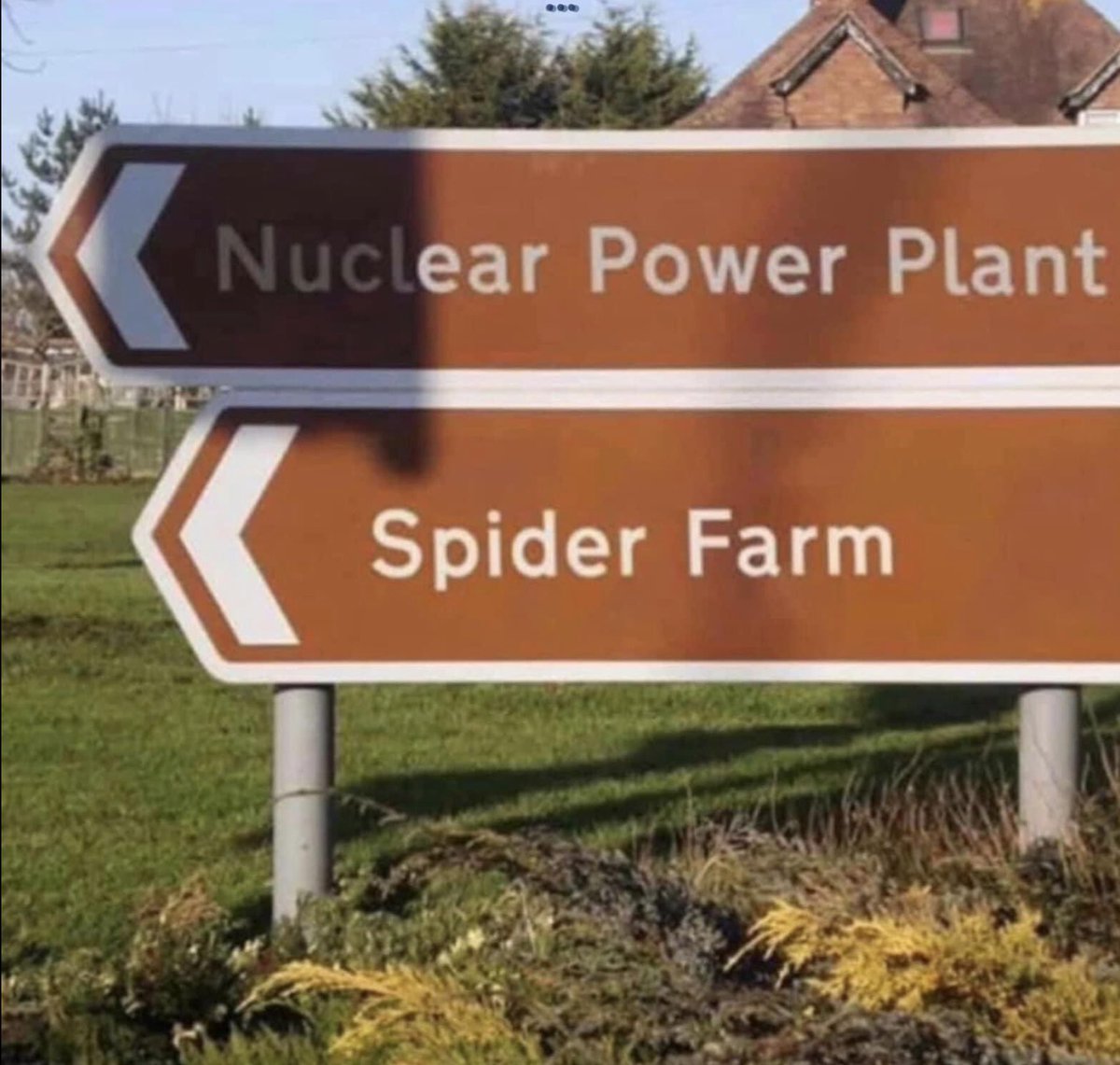 What could possibly go wrong?