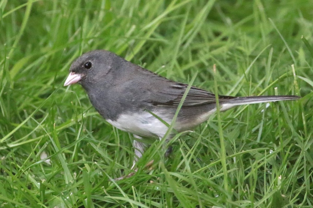 Alex Masterman tweet media