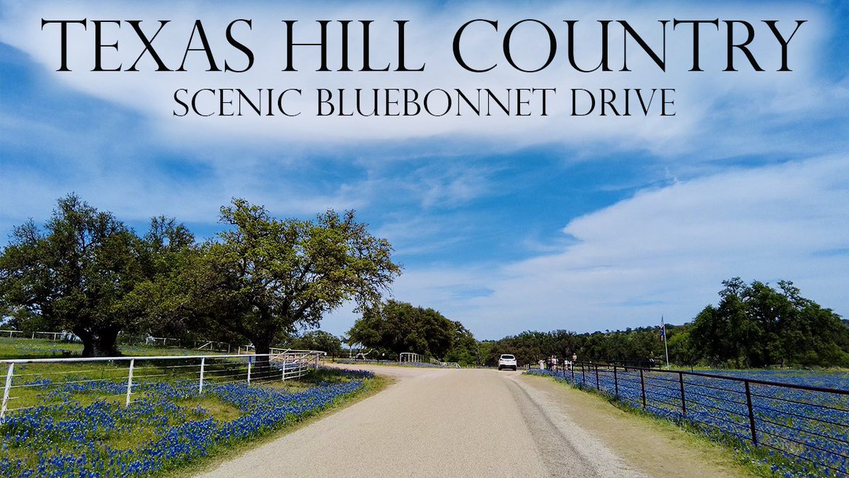 eotschannel's tweet photo. new video is LIVE!
WATCH NOW⬇️
Scenic Wildflower Drive | Peak Bluebonnet Season 2024 | Willow City Loop | Texas Hill Country | 4K
https://t.co/gL377q7Q0m
#wildflowers #bluebonnets #texas #texashillcountry #willowcityloop #scenicdrive #ambient #spring #Spring2024 https://t.co/14kAXwWf49