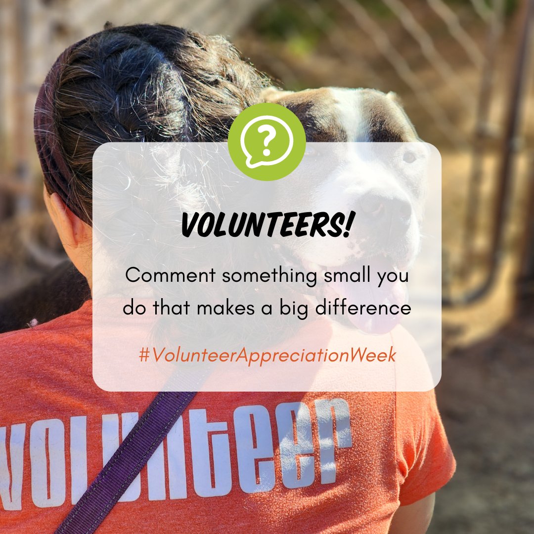 Volunteers! Let’s close out #VolunteeerAppreciationWeek with a ✨ brag ✨ What’s a small service you provide to APA! that makes a BIG difference for pets, people, or both? Reply below! #austinpetsalive #austintx #volunteer #volunteers #volunteering #austinvolunteer