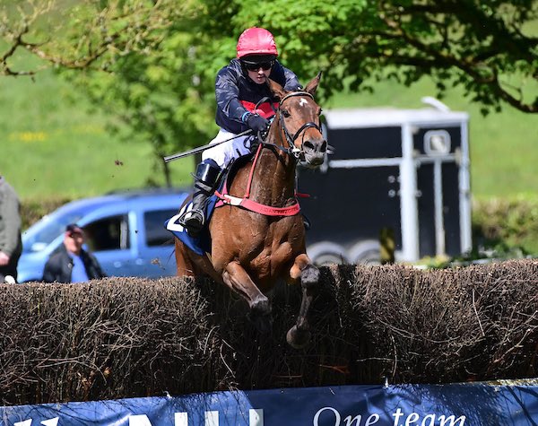 QrIrish's tweet photo. A double for Troy Walsh today in Ballysteen both for his boss @cobajay  #QR 📸 https://t.co/8Dv1awdGxy https://t.co/ncMhFZkVi5