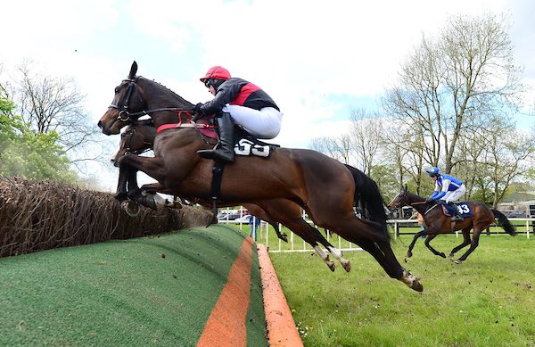 QrIrish's tweet photo. A double for Troy Walsh today in Ballysteen both for his boss @cobajay  #QR 📸 https://t.co/8Dv1awdGxy https://t.co/ncMhFZkVi5