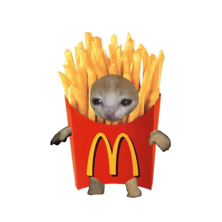 CatFries tweet media