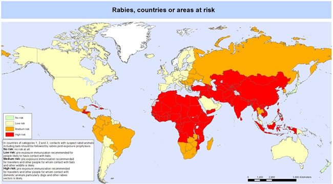 Dünyadaki kuduz riski haritası:

🟨 düşük risk
🟧 orta risk
🟥 yüksek risk

Kırmızı bölgeler, ekseriyetle insanın köpek kadar değeri olmadığı 3. sınıf ülkeler.

Kuduz; semptomlar başladıktan sonra tedavisi olmayan, sonunda hastayı salyalar akıtarak feci şekilde öldüren bir virüs.