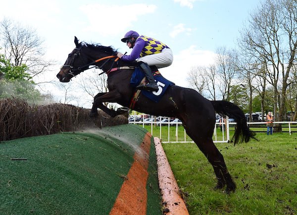 Way Down South ridden by Harry Goff for father @mickgoff5 winner of todays 5yo geldings maiden giving Harry his 2nd career winner 👏 #QR 📸healyracing.ie