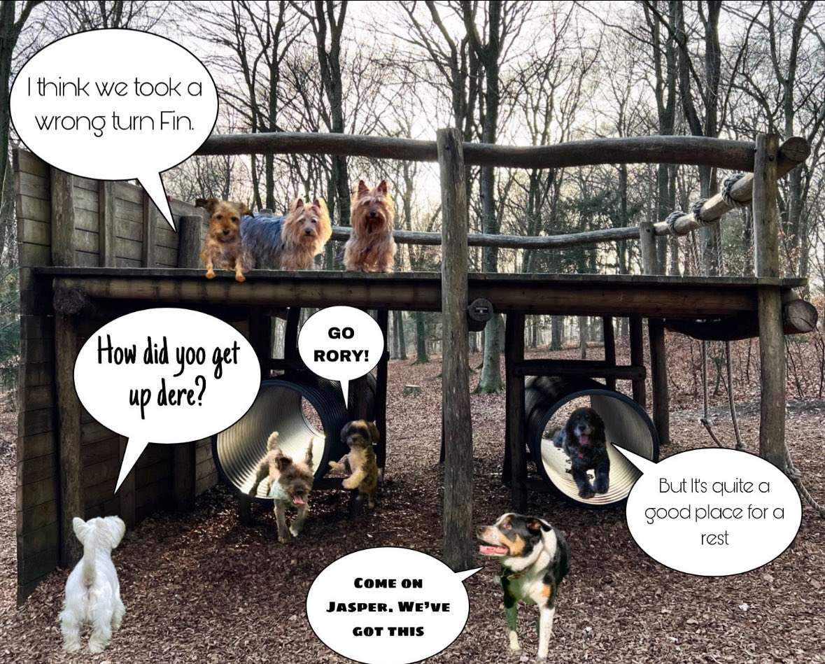 Q2/2-2 I joined Zombie Squad about a year later which is So Much Fun! More recently I’ve been going to Zombie Squad Training on Saturdays. We have so much fun getting into mischief while defeating zombies. This is from last week. #OTLFP