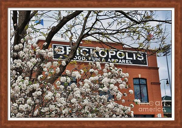 Spring has sprung in Bricktown!
Buy here: fineartamerica.com/featured/sprin…

#BricktownOKC #SpringFlowers #UrbanPhotography #OKC #Cityscape #FloralPhotography #ArtForSale #LimitedEditionPrints #HomeDecor #ExploreOKC #ShopLocal #WallArt #ArtLovers #FineArtPhotography #SeasonalBeauty