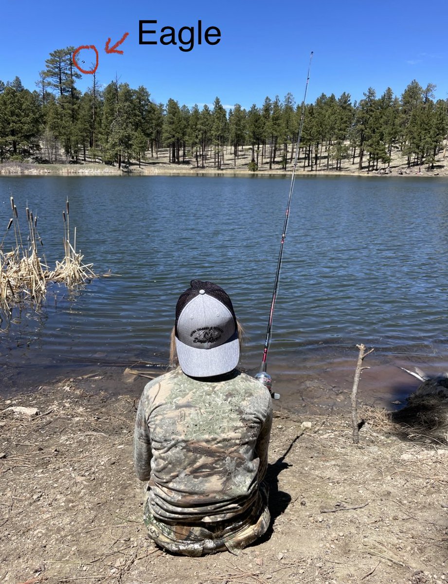 We support @Diegoranchinc all the way from Arizona! Picture from Hulsey Lake. Rainbow trout to catch and Eagles. 💯❤️ Support them if you can! 👊😎