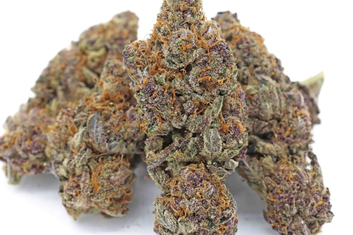 Purple Kush Strain – Indica Flower #cannabiscanada buff.ly/3vUOW06