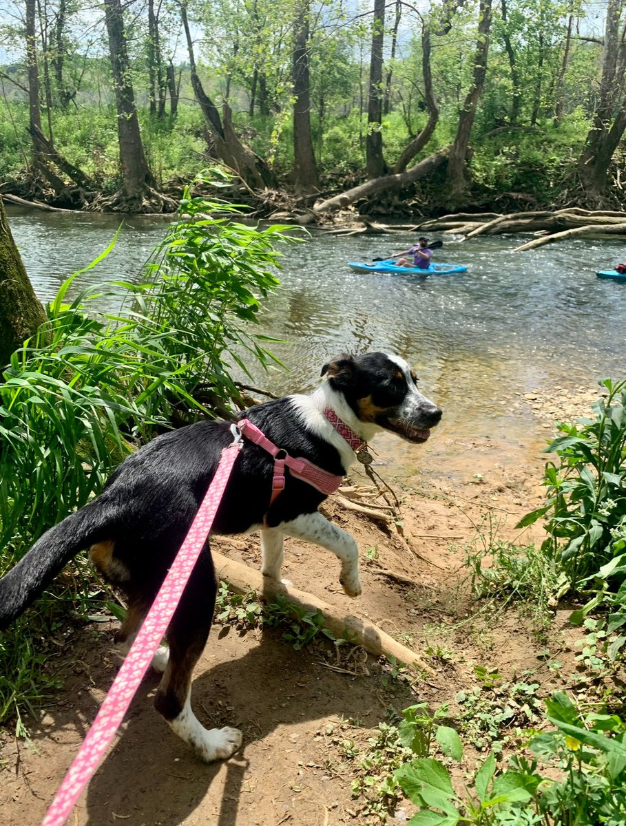 Q3/2-2 We have excellent parks where we live. The parklands pictured here is 19 miles long with over 60 miles of hiking, biking and paddling courses that thread throughout. It’s well maintained & my family loves exploring it, every chance we get! #OTLFP