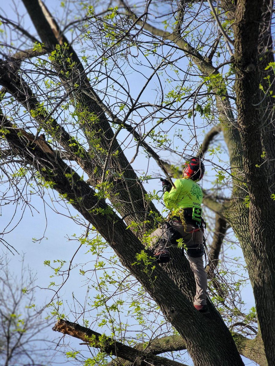 Rootedtreeomaha's tweet photo. Spent our day helping. Not charging a cent. Who cares abt insurance claims. This is devastation. No pats on the back. No showcasing us. This was all community: volunteers cleaning, cutting, hugging others. #nebraska #tornado #rootedinthecommunity #forthecommunity #local #elkhorn https://t.co/eFcTC7rfnb