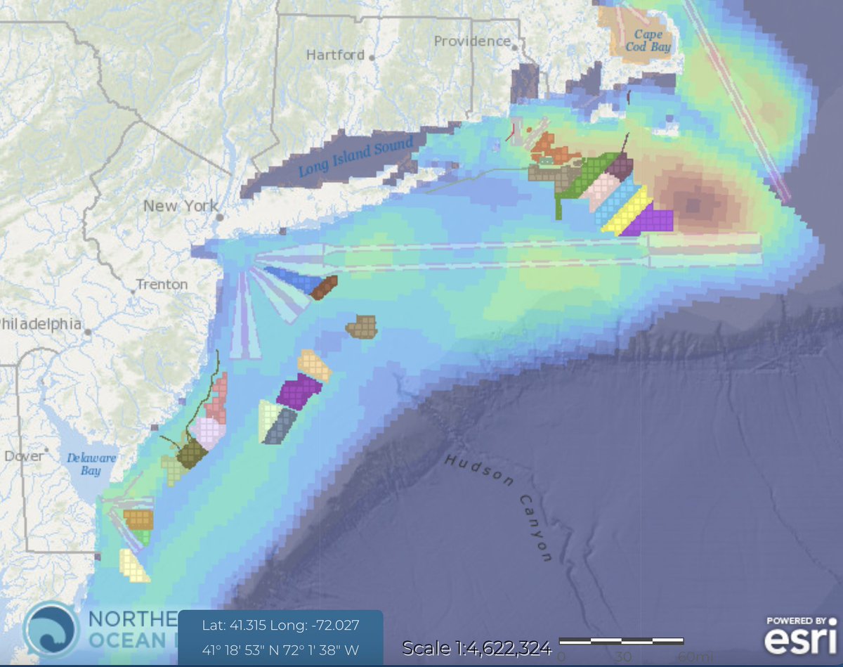 #noise: Thanks @pwrhungry. I tried out the GIS, it works as described. Showing leases and North Atlantic Right Whale (NARW) mean locations in January. Added shipping lanes to evaluate how the offshore buildout forces whales into harm's way. With onshore dispatchable power build…