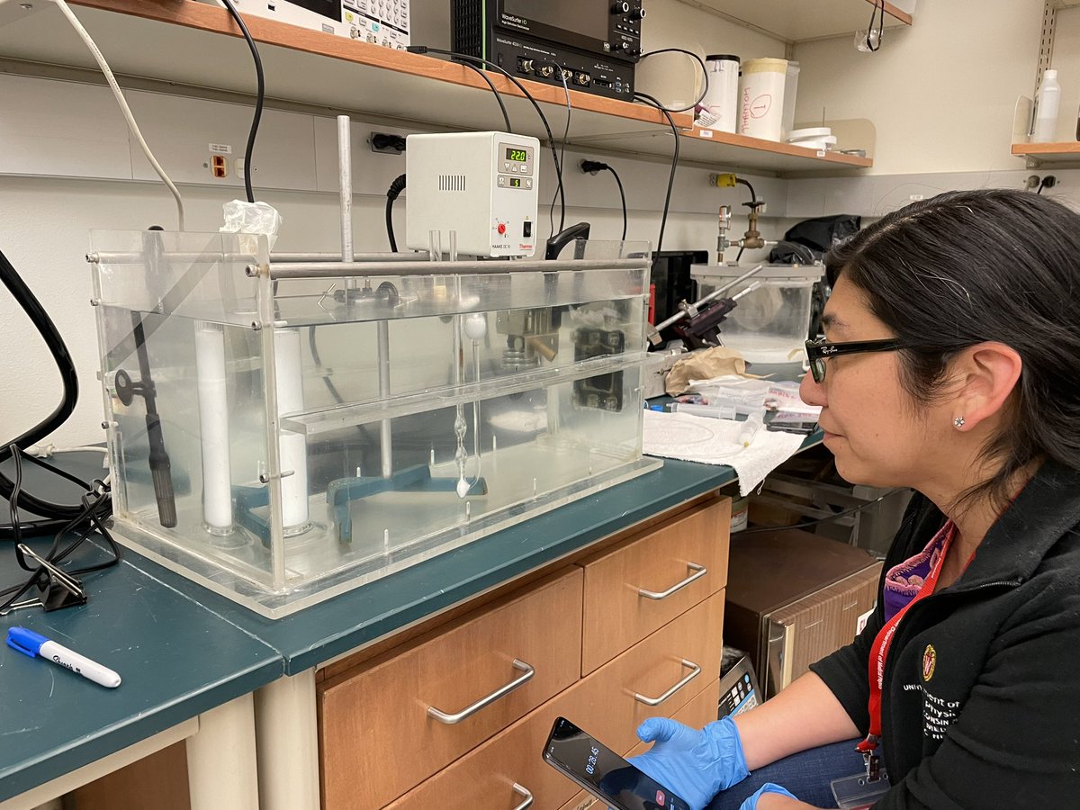 Ivan Rosado tweet media