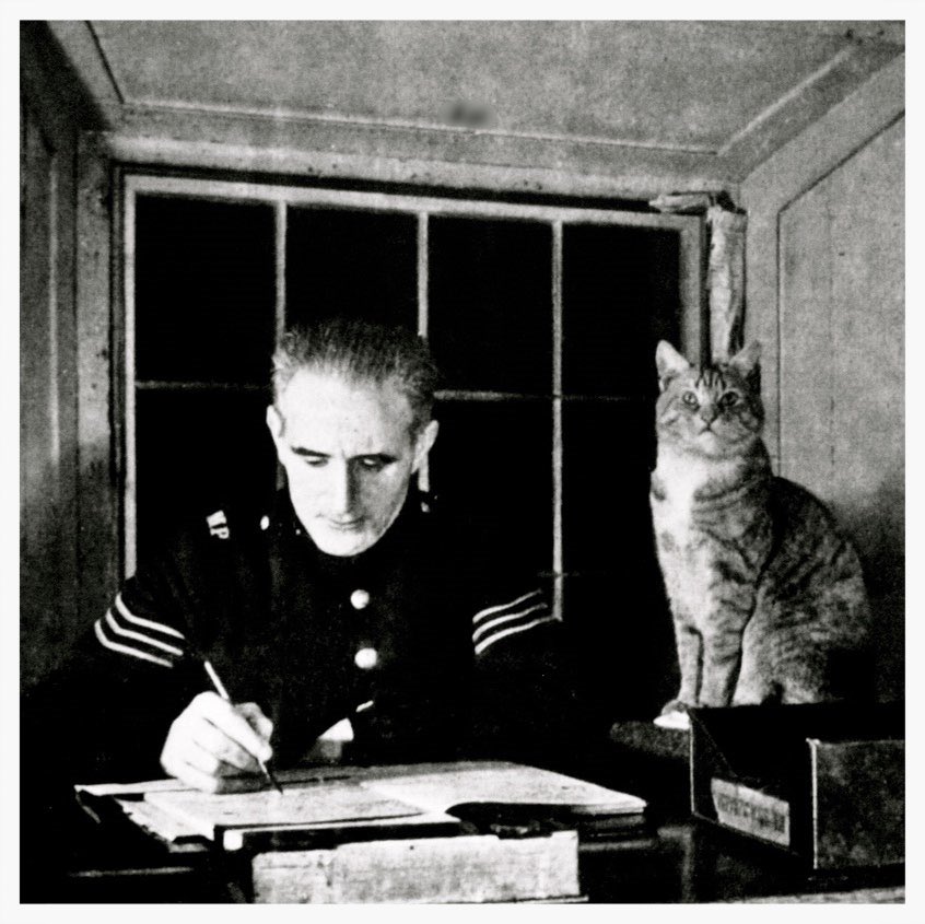 A bit of #Caturday history: Snooks, head of London's Wellington Arch Police Station, circa 1952. (Via @EnglishHeritage) Yes, Snooks is the one on the right.