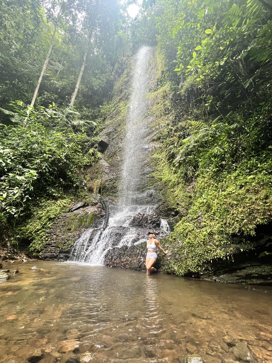 14km hike to three waterfalls today in the Colombian jungle! This has been the best part of my trip so far 🥹