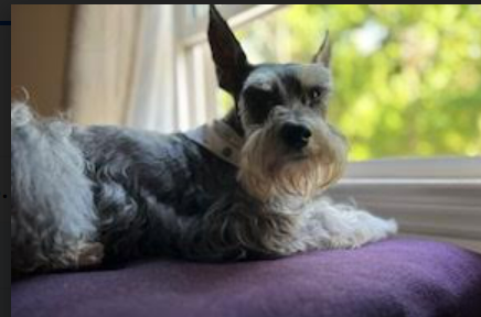 Calci-D 💉💉💉💉🇺🇦🌻🇺🇸⚖️ tweet media