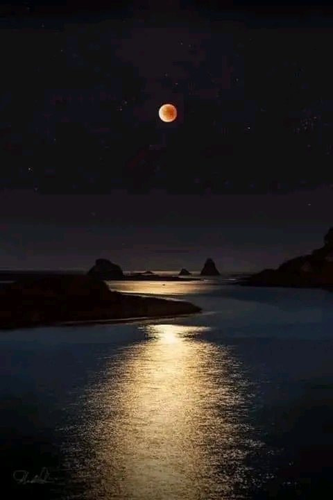Ve gün bitti. Bir şiirin son mısrası gibi ‘Ay’ adını yazdı suya... Sonra derin bir sessizlik, Sus pus oldu YALAN DÜNYA... Aynı karanlık örtse de üstümüzü, Herkes kendi gecesinden seyrediyor, bir başka gökyüzünü. Alıntı İyi #Geceler ⭐🌙 🌠