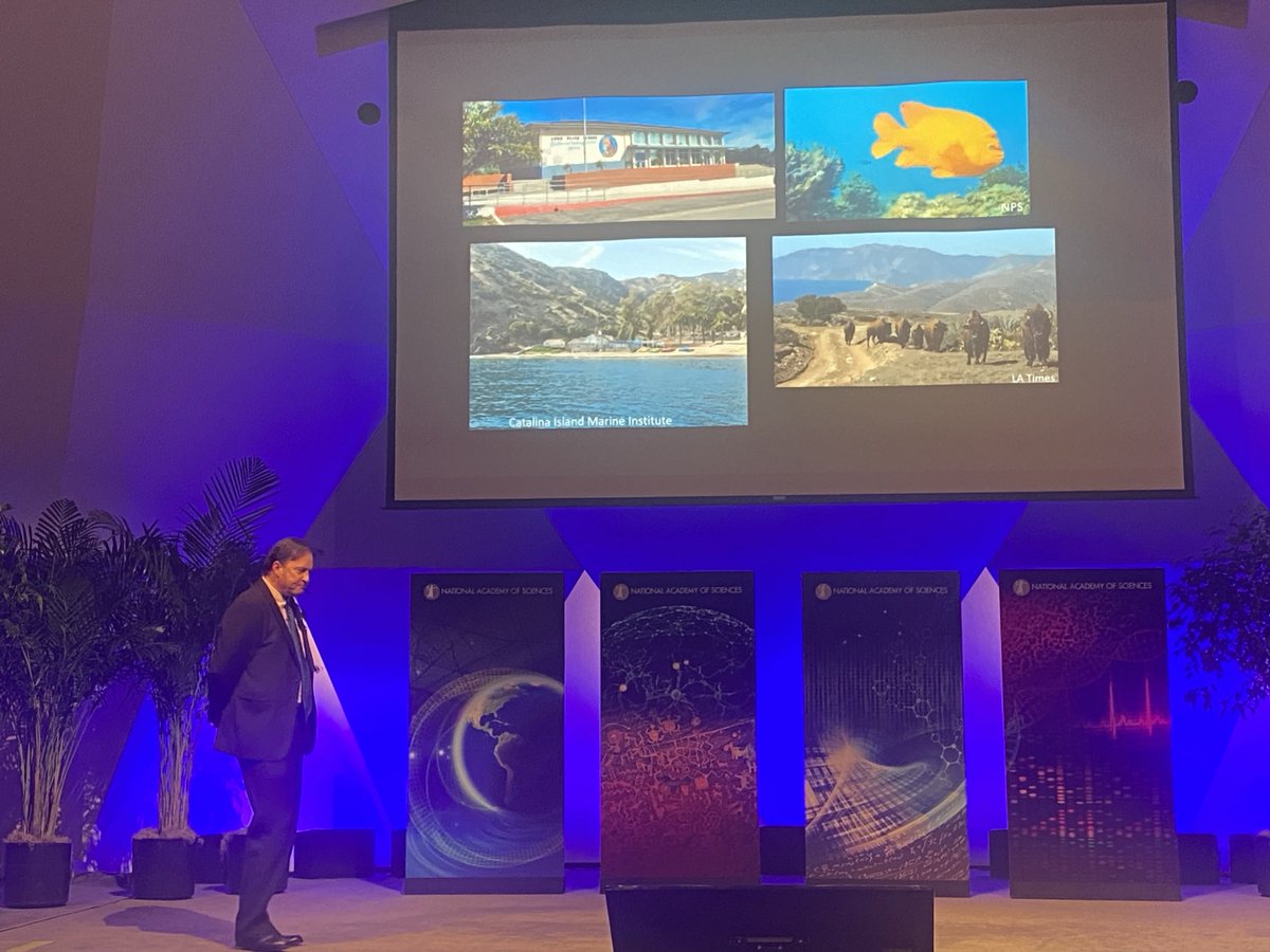More inspiration from nature and biodiversity in the Research Briefings at #NAS161 in the talk by Torben Rick on Archaeology and the Future of our Ocean Planet.