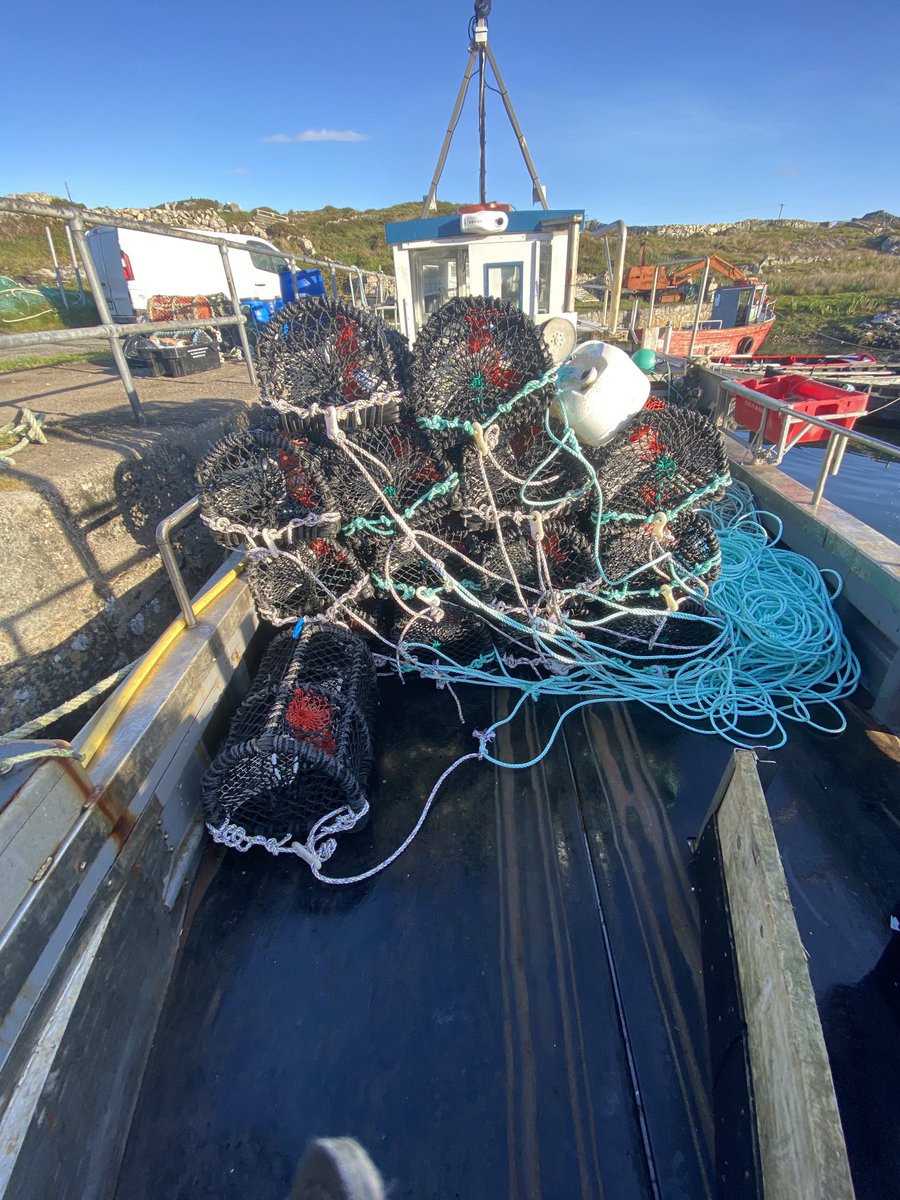 Séamus Breathnach tweet media