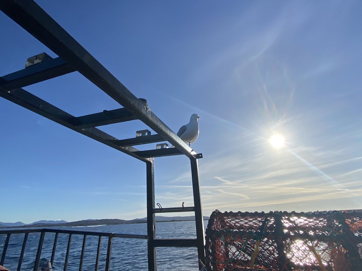 Séamus Breathnach tweet media