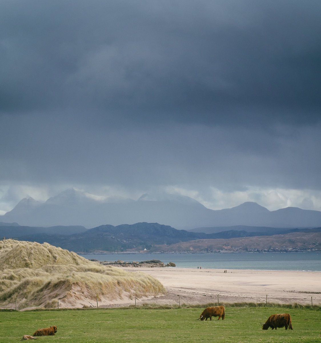 Still a dusting of snow on the hills. Cuckoos have arrived this week and the snipe have started winnowing.