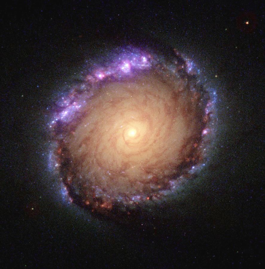 Beautiful barred spiral galaxy, NGC 1512   

Delicate image of #Galaxy NGC 1512 taken by the #Hubble Space Telescope, buff.ly/3yxWzaI  

If you are interested in commissioning an oil painting on canvas of this art print, please send me an email at troy@troycap.com.