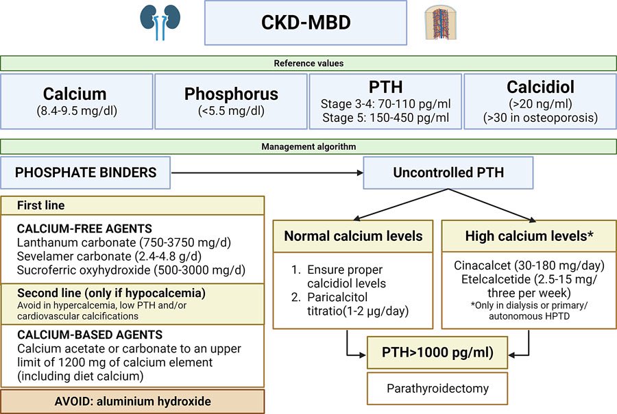 7/9 🦴 How do we assess the mineral and bone metabolism in patients with cardiorenal disease? What are the targets and what drugs should be used?
