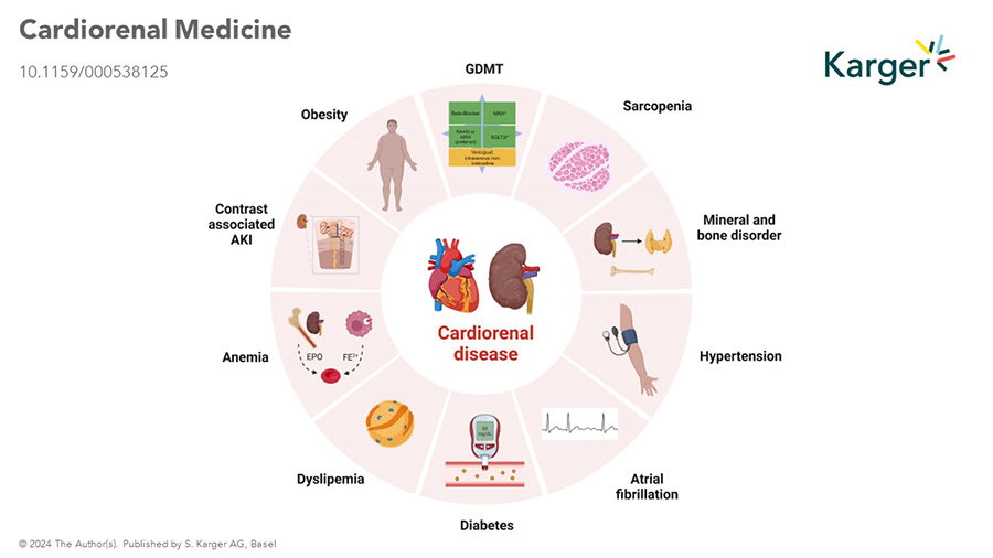 🚨Don’t miss our practical approach to address and optimize cardiorenal therapies and related comorbidities in chronic cardiorenal disease beyond congestion! This is a proposal prepared by @CardioRenalSEC @IcyfaSemi @SENefrologia 💪🏻 🧵 1/9