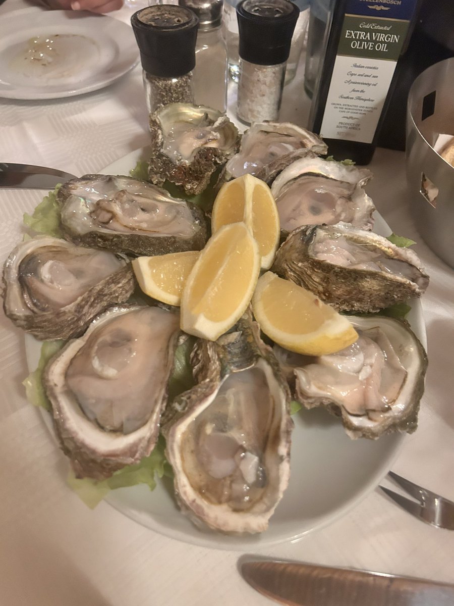 Wild oysters 🦪 from Mossel Bay #magicaroma