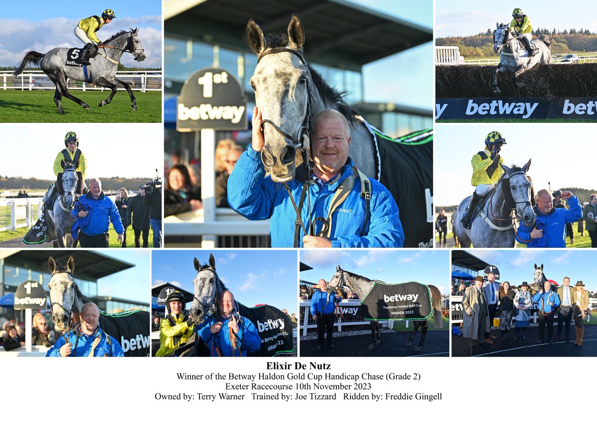 A few weeks ago I put together this montage for Reg who led up Elixir De Nutz to win the 2023 Haldon Gold Cup at @ExeterRaces, and it feels all the more special now. Sleep tight Nutz, so sorry to the whole Tizzard team and Terry Warner and family. 💛