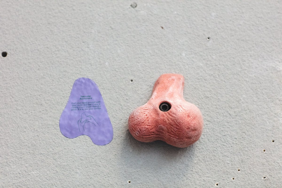 TestesCAN's tweet image. A huge thank you to everyone who came out to grab their rocks at Joe Rockhead's and joined the fight against testicular cancer. Visit us now until April 30th for a chance to climb the wall.

Learn more and donate to help save mens' lives at: grabyourrocks.ca