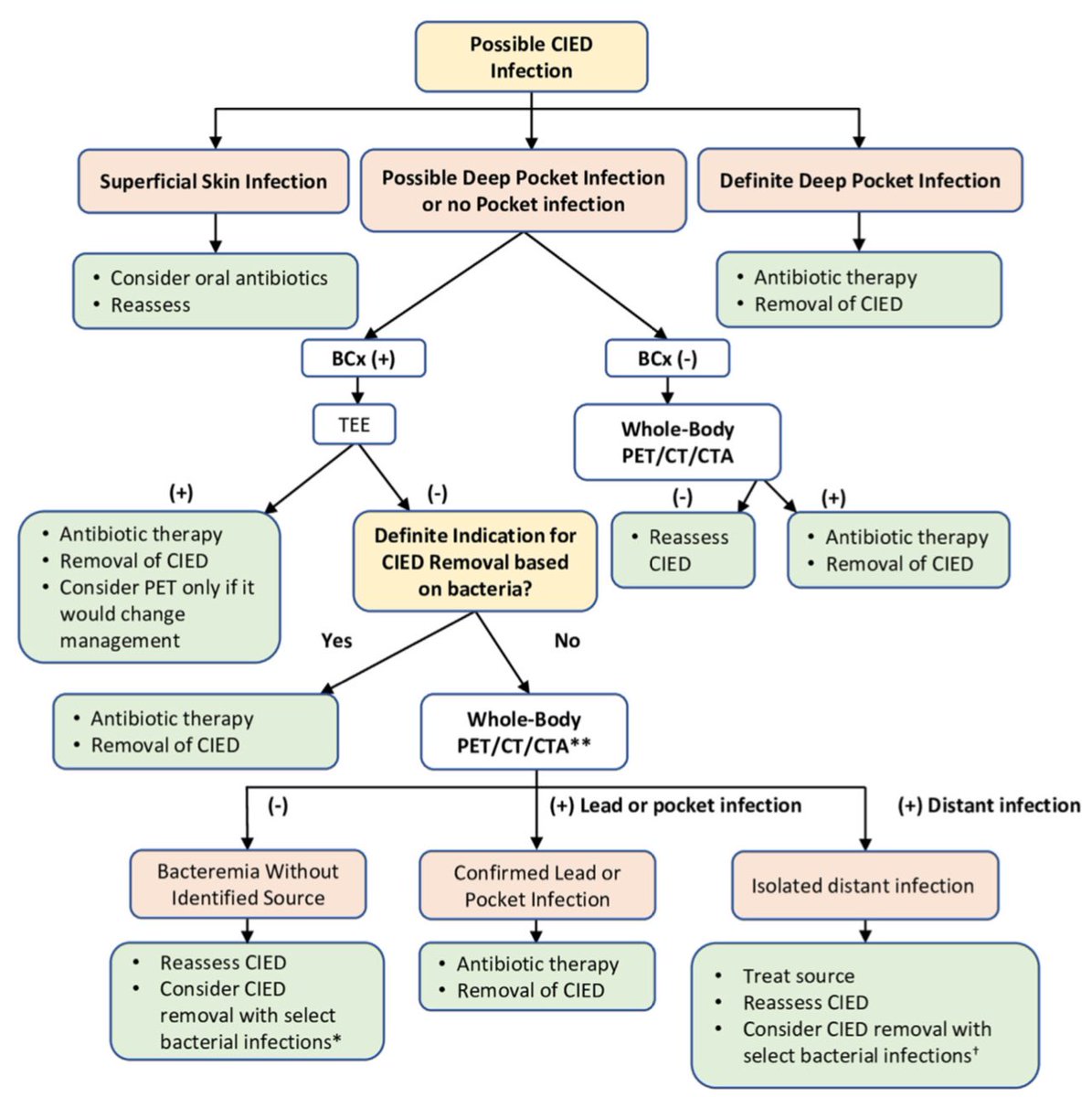 ‼️🚨‼️🚨 Consensus Recommendations alert ! 18F-FDG PET/CT and radiolabeled leukocyte SPECT/CT imaging for the evaluation of cardiovascular infection in the multimodality context - @JNCjournal journalofnuclearcardiology.org/article/S1071-… @mdicarli @SIAC_cardio @alexsfelixecho @AntonioBarros_ @MyASNC