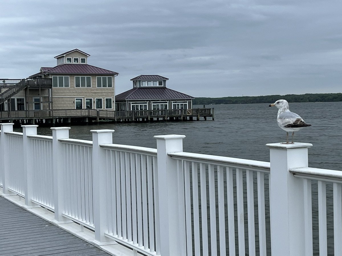 Solomons Island, MD