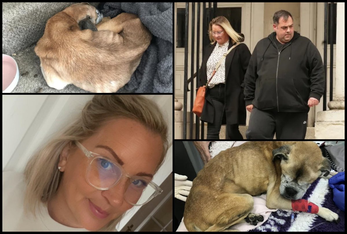 Please retweet CONVICTED | AVOIDED JAIL-Sophie Singer, 41, and Keith Byrne, 38, from #Eastbourne, East #Sussex #UK - left their 14-year-old boxer dog to die while they swanned off on holiday to Center Parcs. The heartless couple refused to accept their elderly pet, known as