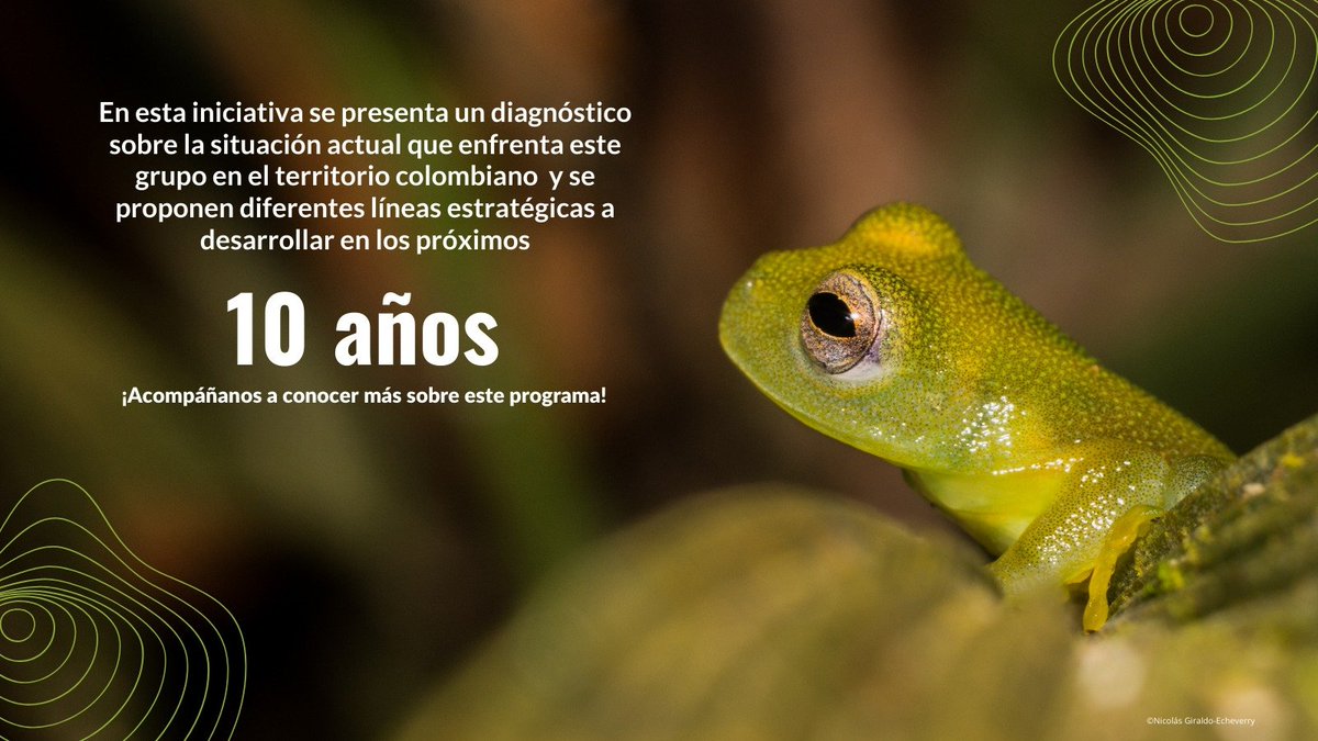 Asociación Colombiana de Herpetología tweet media
