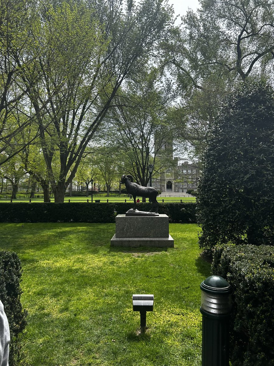 Carson Eutsay tweet media