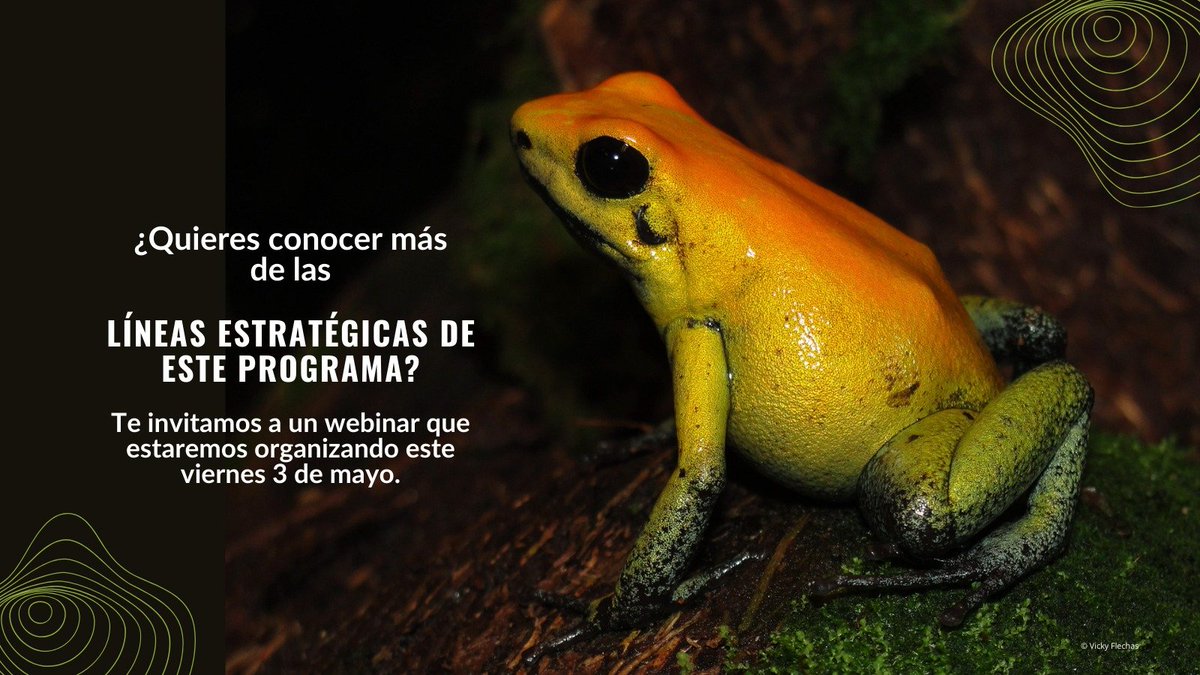 Asociación Colombiana de Herpetología tweet media