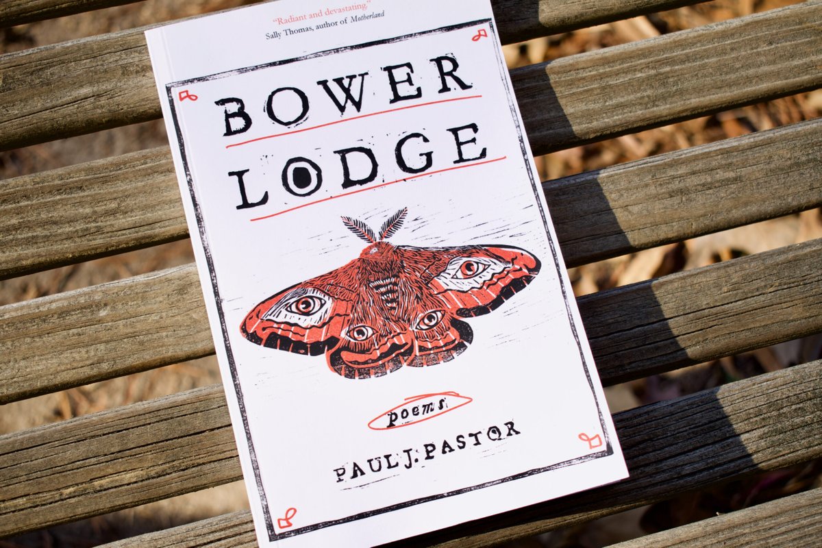 I posted a few days ago about how I've abruptly exploded into a renewed love of poetry, and I just posted how much I loved a recent @pauljpastor poem, so it's perhaps no surprise that my latest poetry acquisition is this, just purchased #bowerlodge