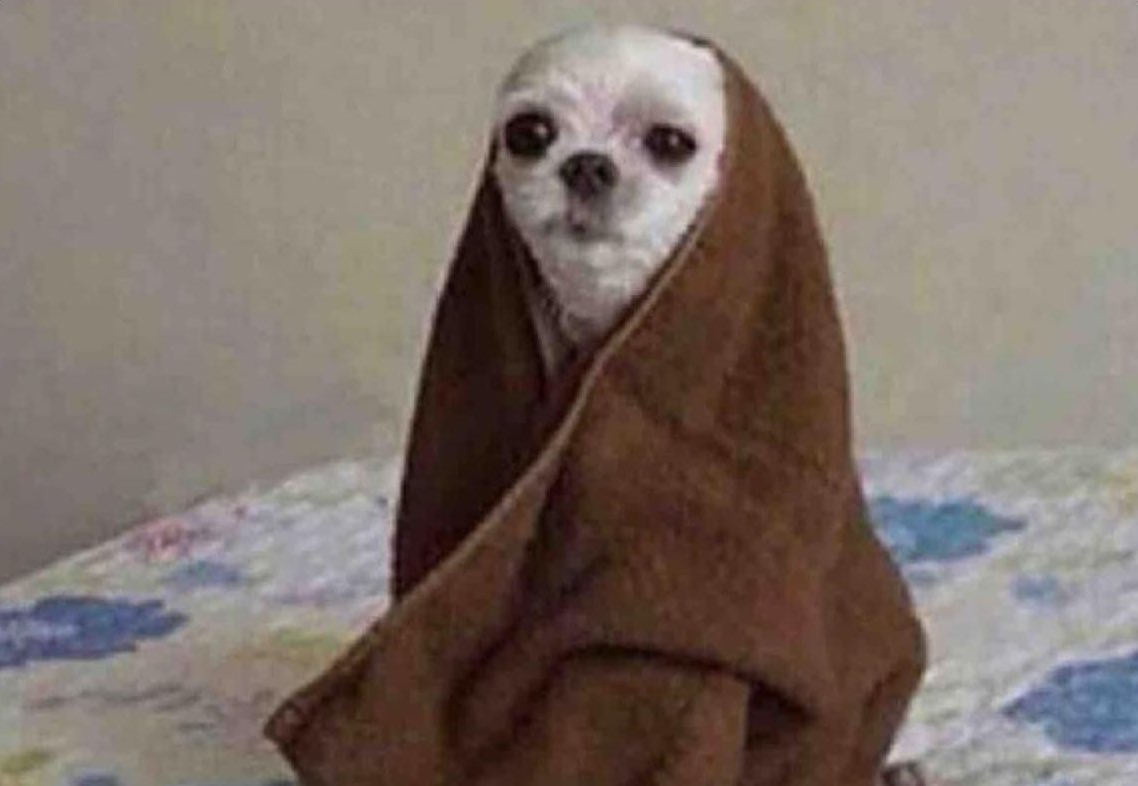 MarioAguilarMG's tweet photo. Aquí esperando a que se me haga tarde para ya apurarme. https://t.co/4tuZNzbrI1