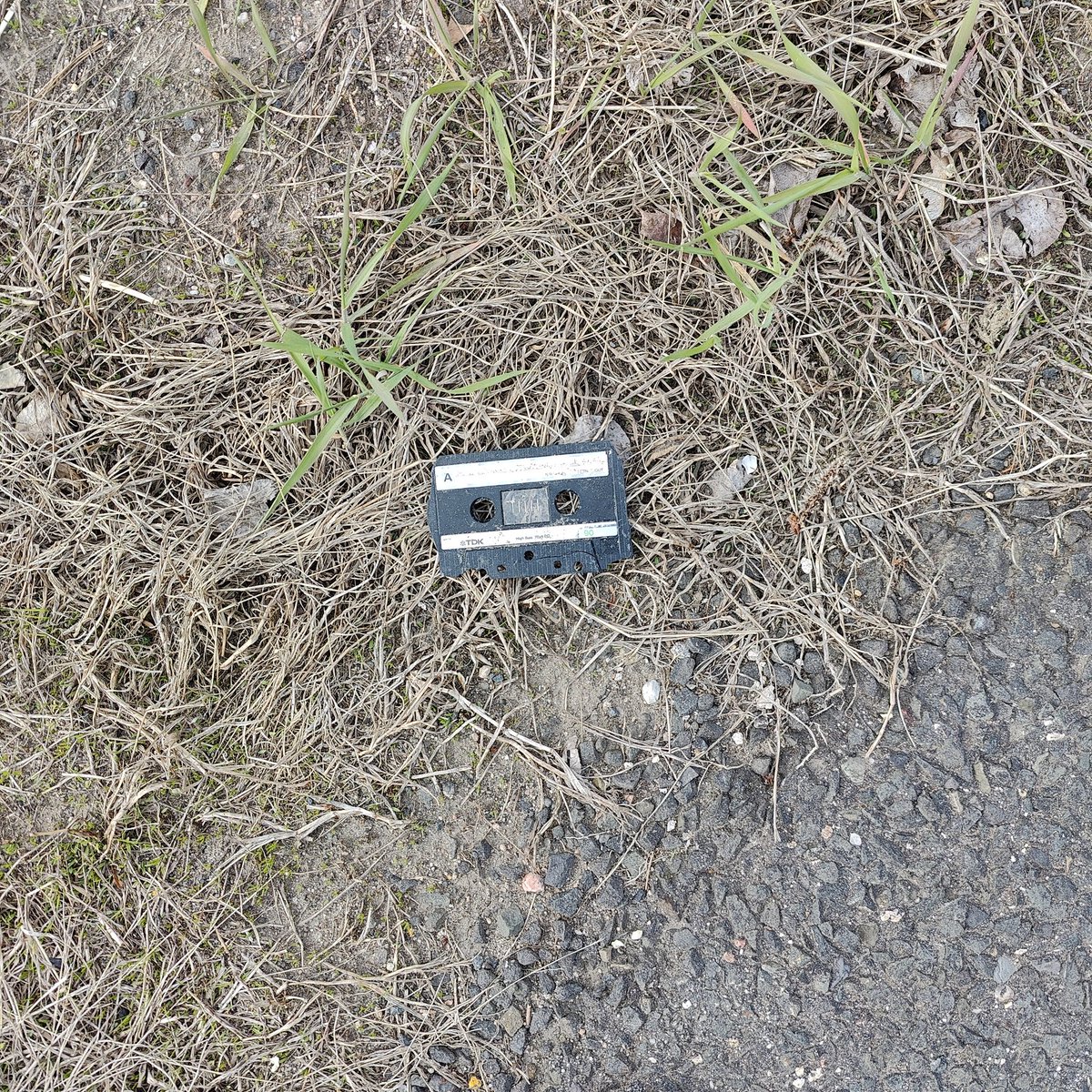 Man of Letters tweet media