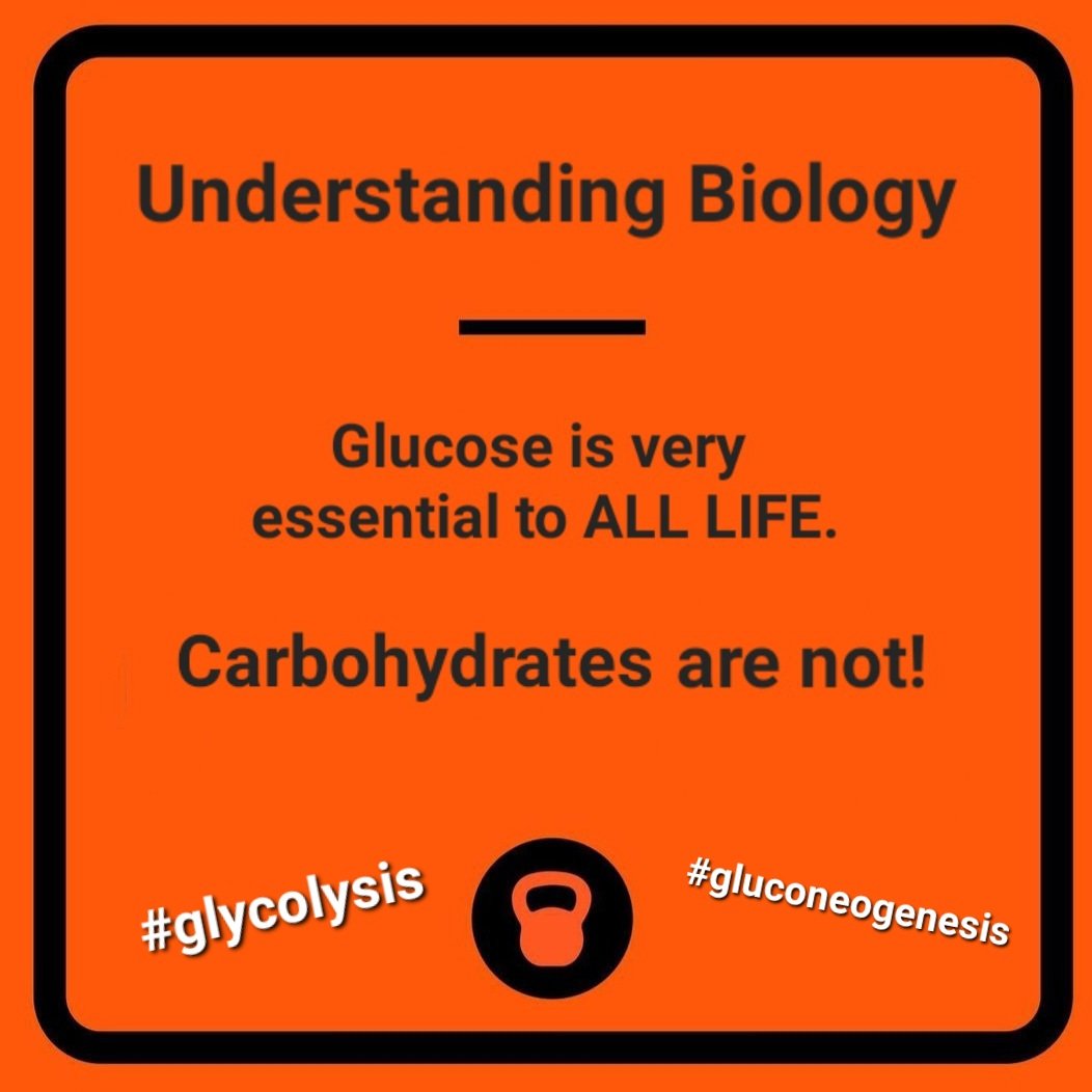 Don't confuse glucose with carbs. Our whole body requires the presence of glucose to function. But we have several ways to make it using glycogen, lactate, amino acids & triglycerides (fat). #eatmeat #fats #nutrition #health #glucose #gluconeogenesis #carbs #lowcarb #keto