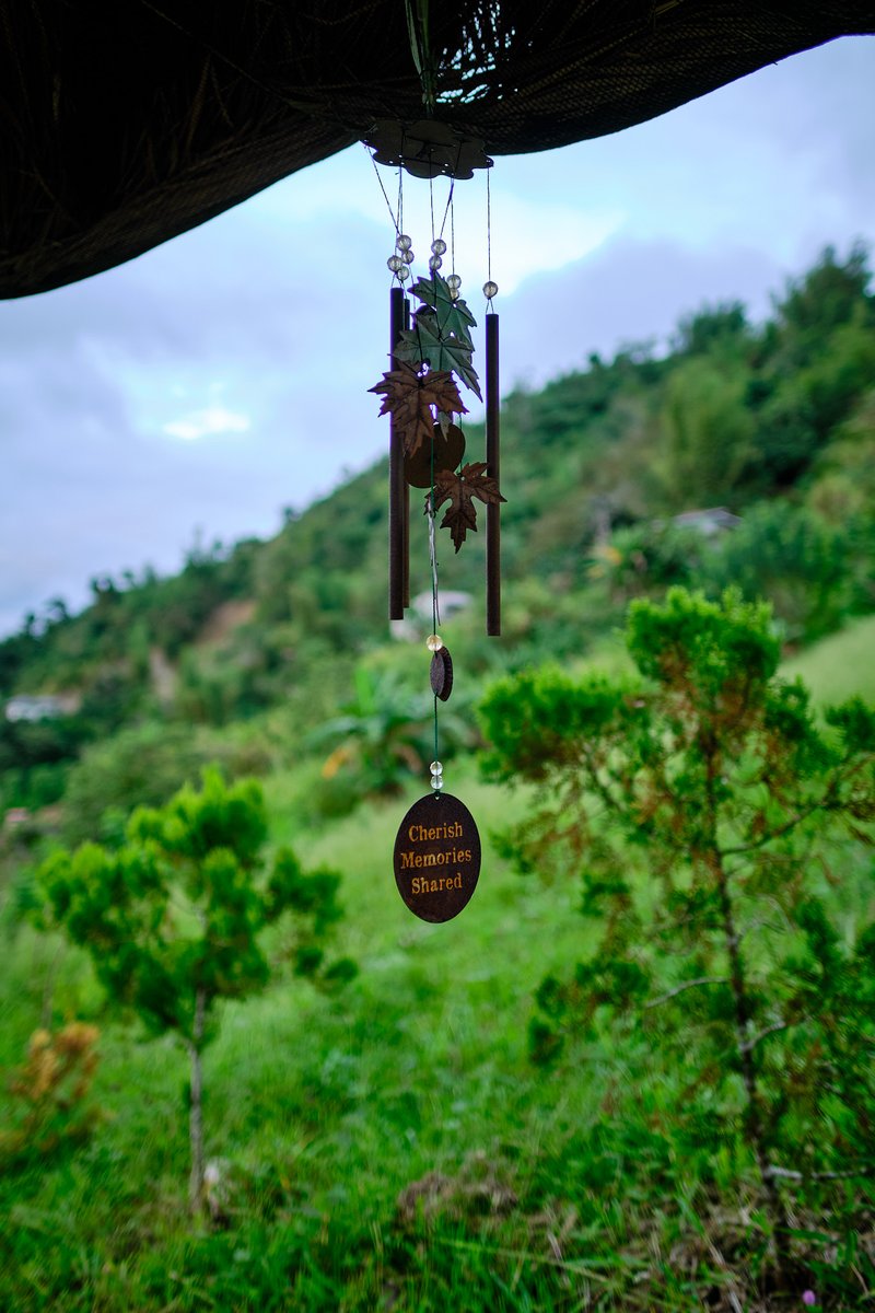 Wind Chime

#streetphotography #streetphotographers #lensculturestreets #streetphotographer #thestreetphotographyhub #beststreets #documentaryphotography #documentaryphotographer #filmsimulation #kodachrome64 #Kodachrome #cebu #capturedmoments #streetphotographerscommunity #film