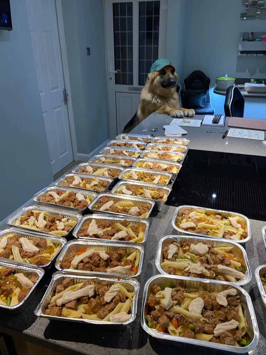 One of our amazing volunteers makes a Sunday dinner for all the #Essex dogs, supervised and taste tested by Max of course ❤️

#dogs #GermanShepherd #SundayRoast