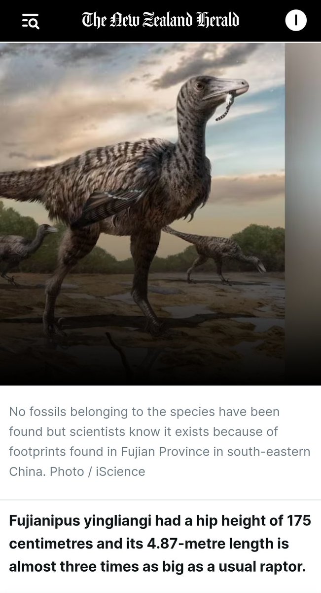 Another evolution 'just so' story. Based only on a newly discovered footprint, scientists claim to know the exact height and length of a new dinosaur and they portrayed it as Big Bird. telegraph.co.uk/news/2024/04/2…