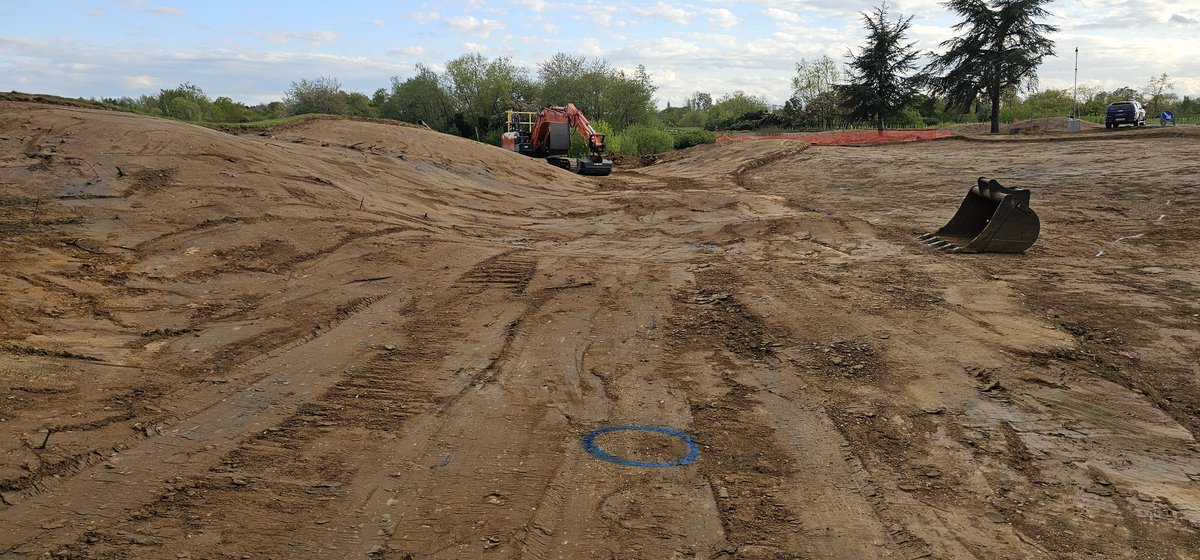 The Dimpled Egg tweet media